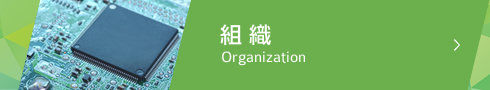 組織 Organization