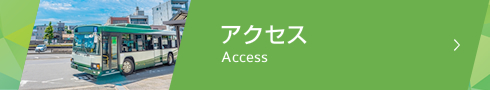 アクセス Access